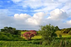 1η-Εκθεση-23