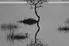 P5304022